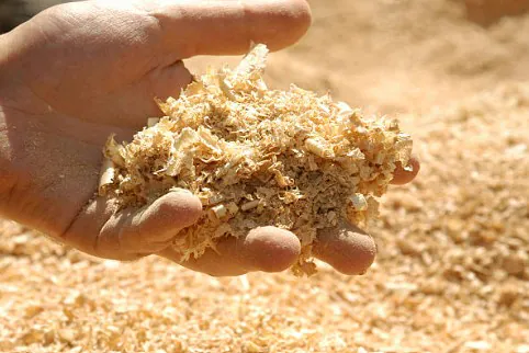 NPI wood pulp raw material